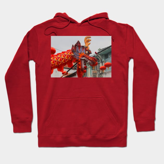 A closeup from the head of a long red dragon in profile Hoodie by kall3bu